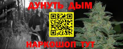 СК Краснодар